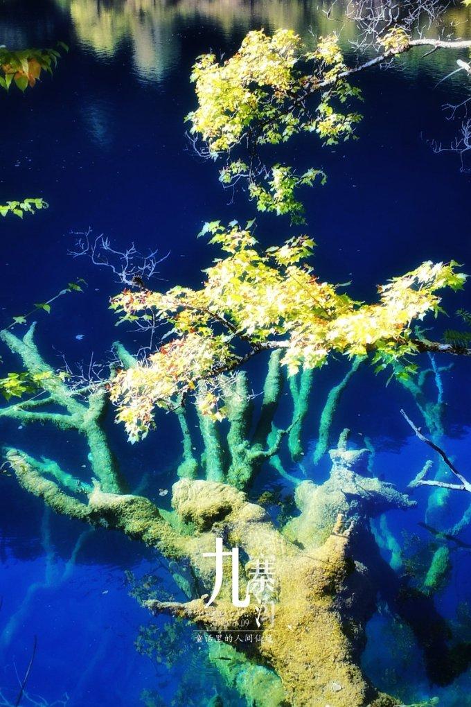 流星蝴蝶剑