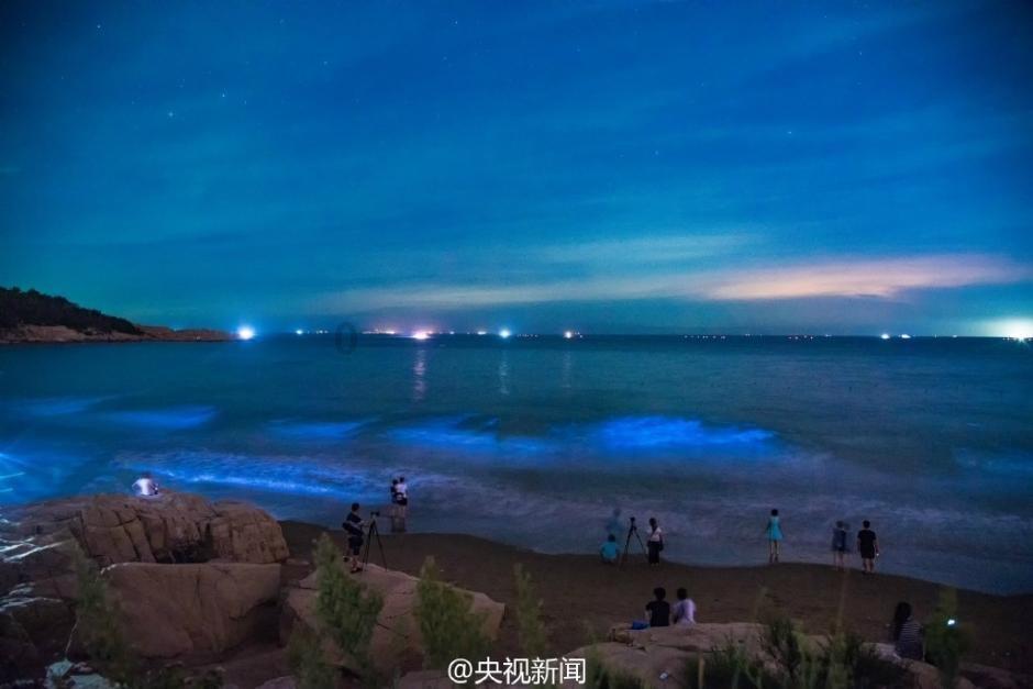 逗小猴开心系列208