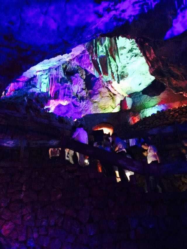 动物帮帮忙保卫家园