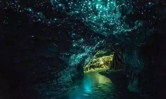 动物帮帮忙保卫家园