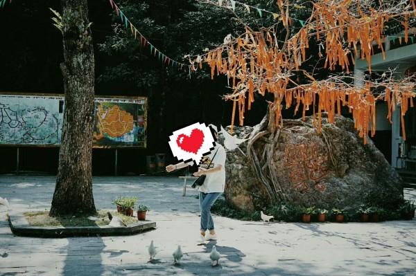 大学生考公务员应该准备什么？