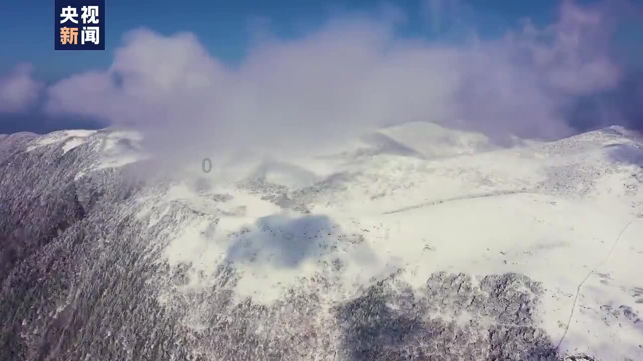 儿童算术题