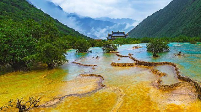 破碎的动物图形