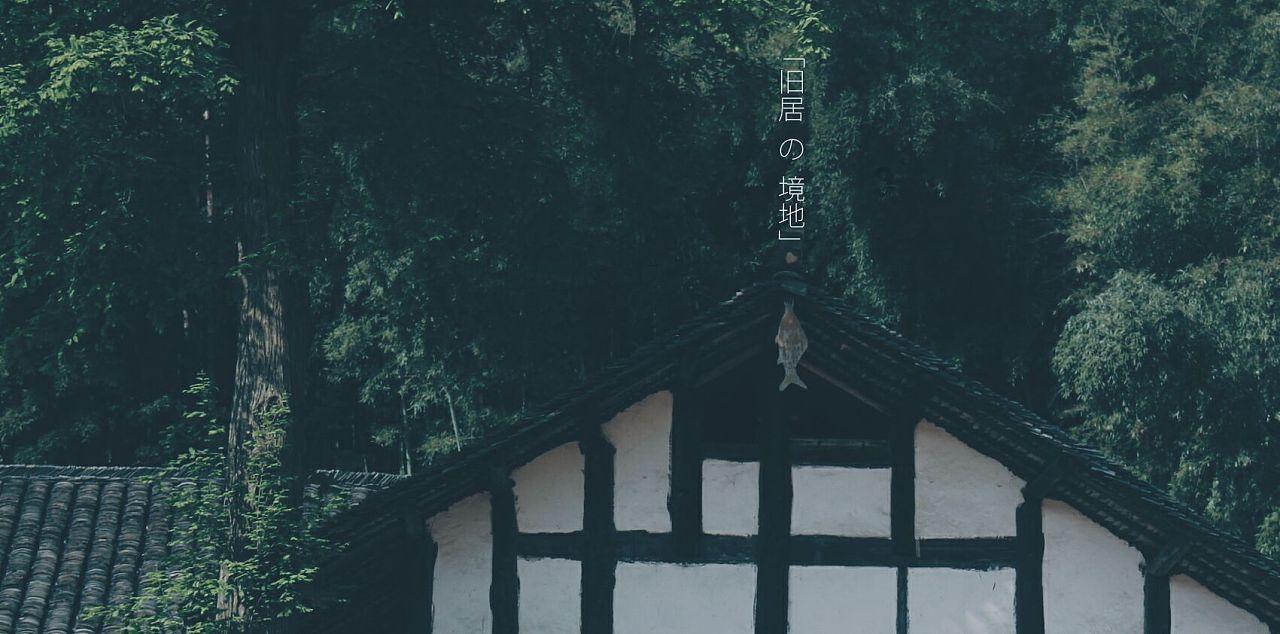 救援可爱小猪仔