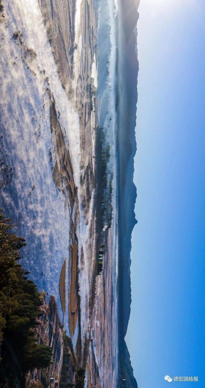 虫虫助手下载