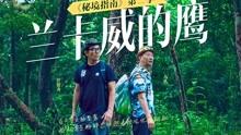 月光影视