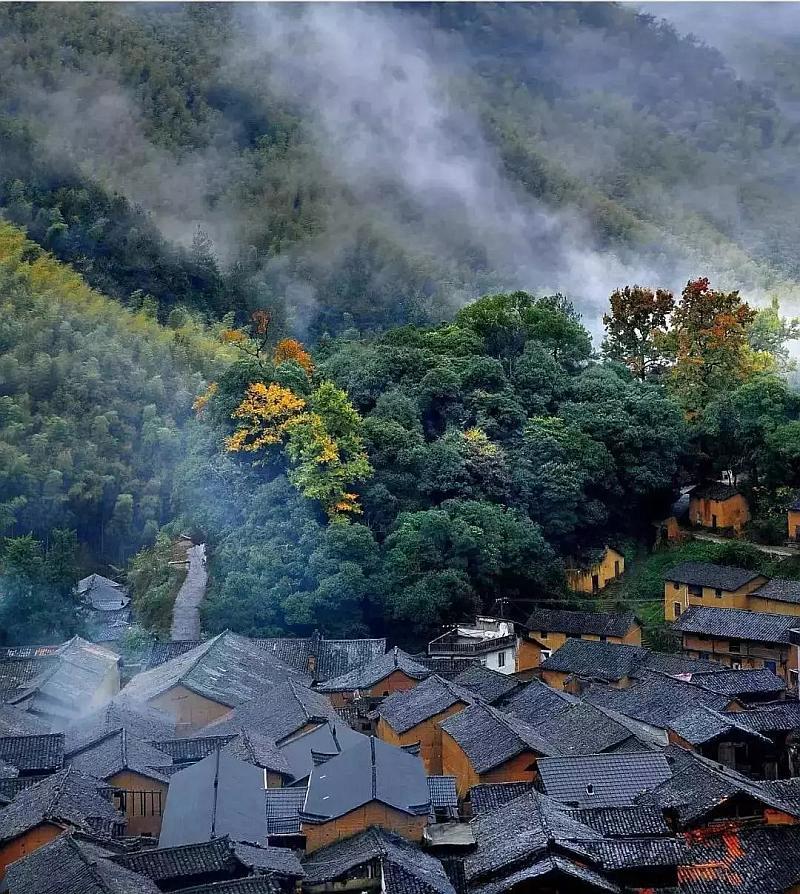 搜狐网拍客直击现场：重庆华岩寺施腊八粥，市民排长队喝粥迎腊八节