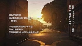 创作猫