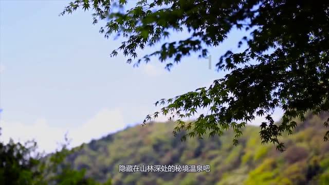 2024年江西GDP预计增长5%