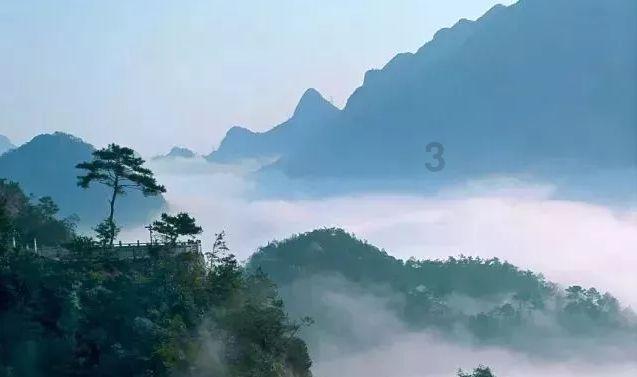 温州年夜饭的“顶流鱼”,最近游得很欢