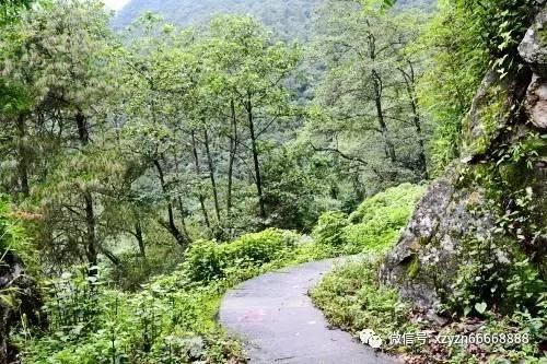 三国名将周瑜后人曝光,一位成了大明星,一位被写进了教科书