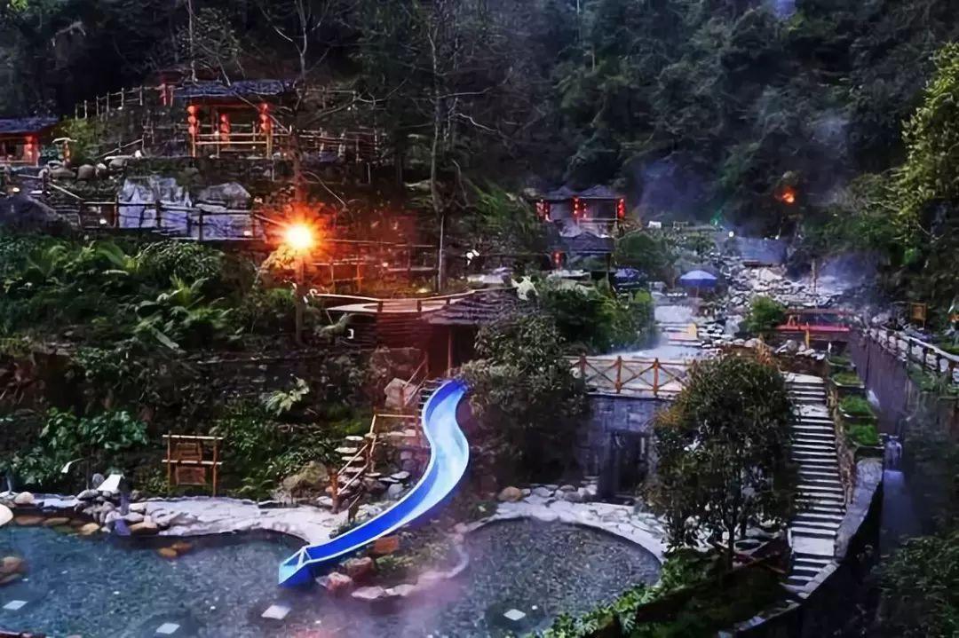 春雨直播app