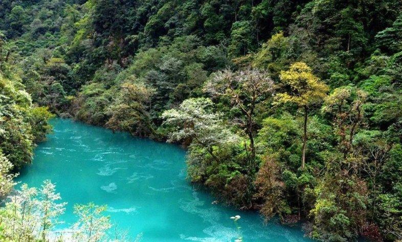 沪江开心词场