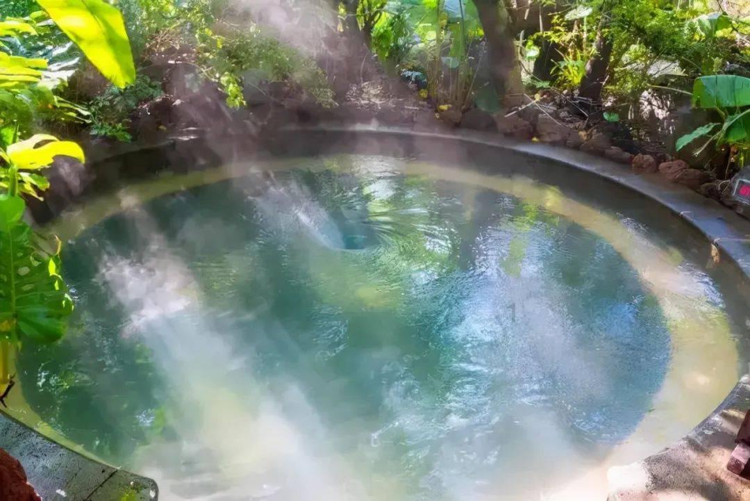 测试你的桃花运