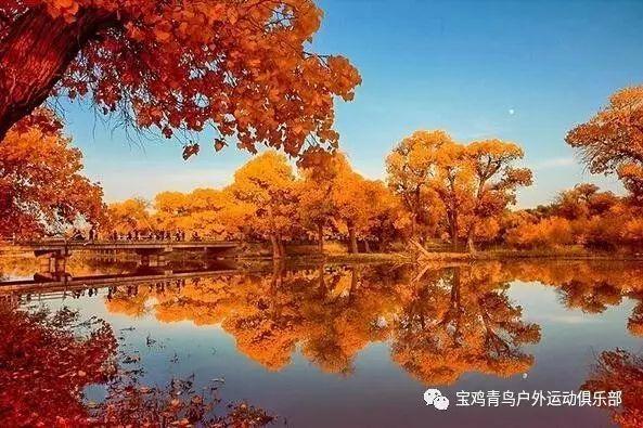 让更多“阳光雨露”滋养“枝繁叶茂”