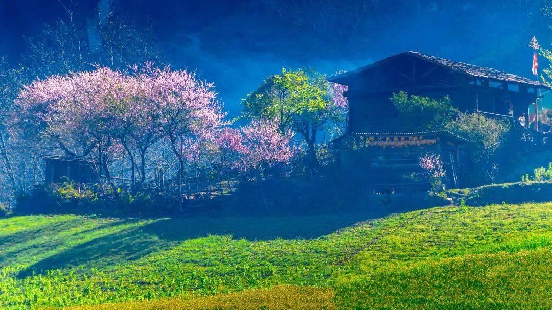 花语月