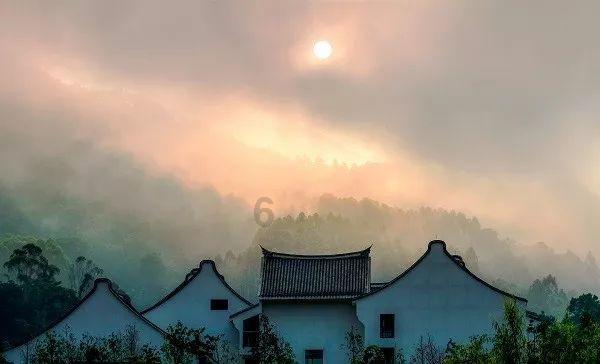 逃离蜥蜴森林