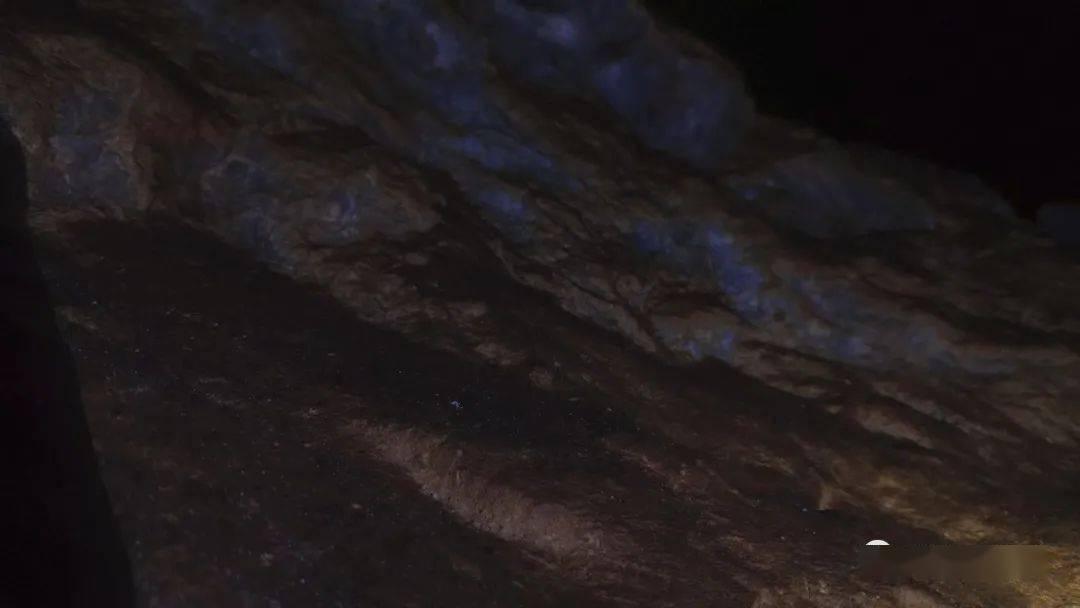 黔南几年没有搞医师定考了游戏画面