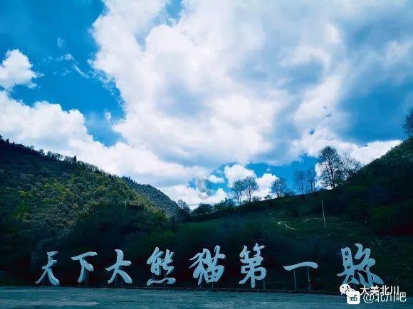 吴京发脾气片段被扒,谢楠回应被劝离婚很无奈