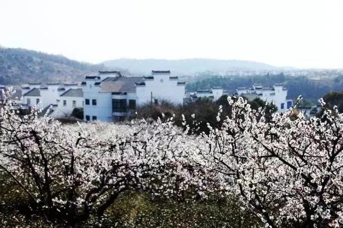 拳击俱乐部