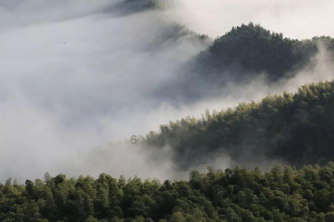 补救措施