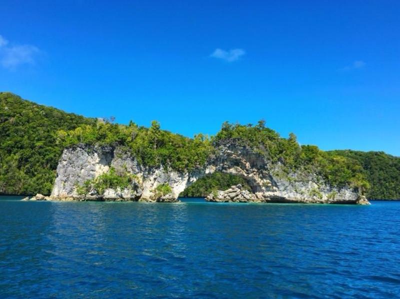 沪江开心词场