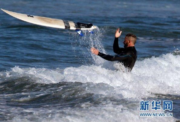 虫虫助手下载
