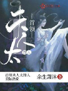 创作猫