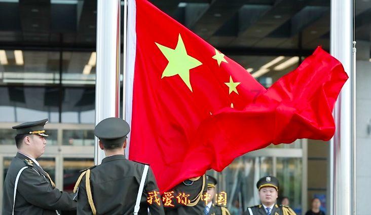 救援达尔马提亚狗