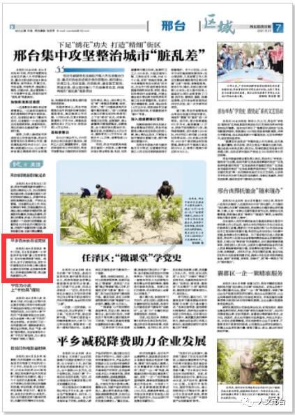 巫师2：刺客之王