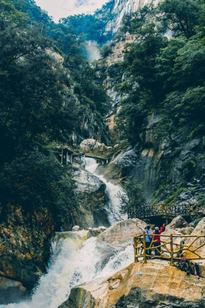 春雨直播app