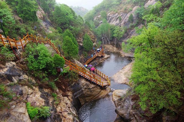 春雨直播app