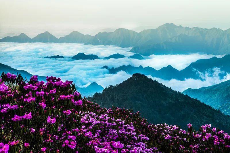 救援蓝色小鱼