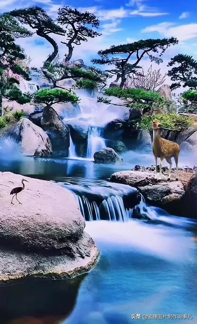 幽幽梦游记