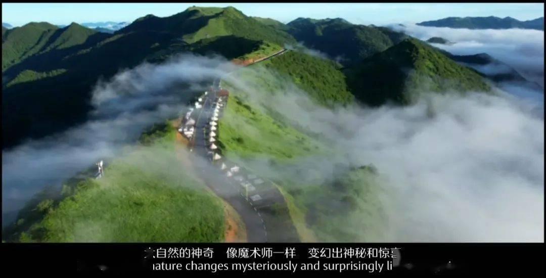 果冻分裂