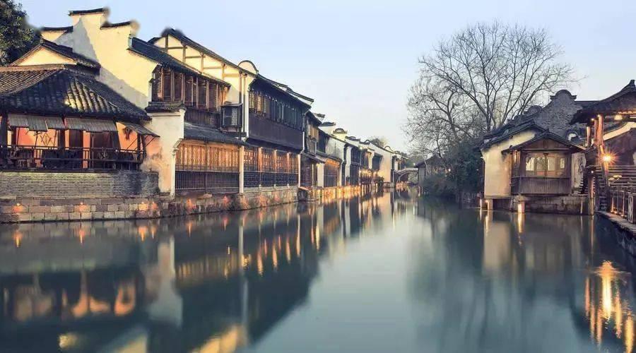 饥饿的松鼠救援