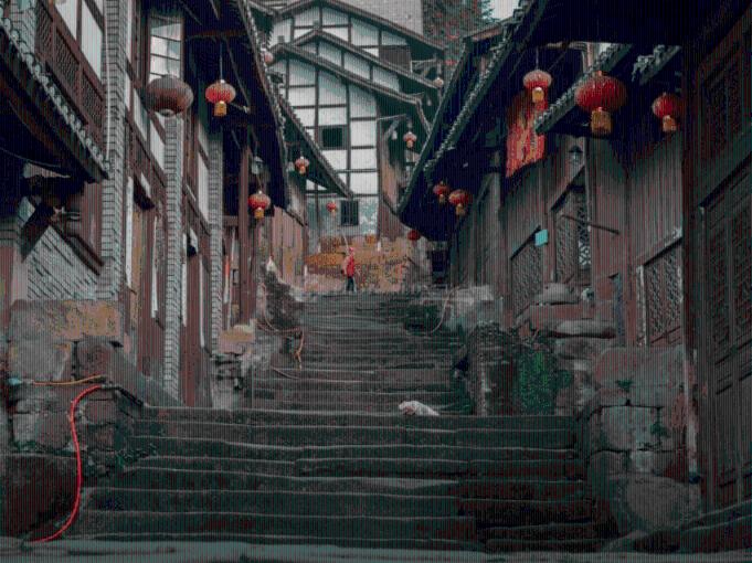 救援受困的老虎
