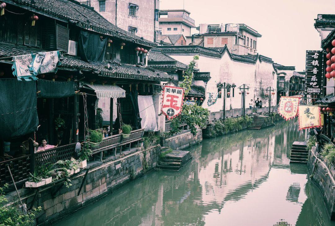 春雨直播app