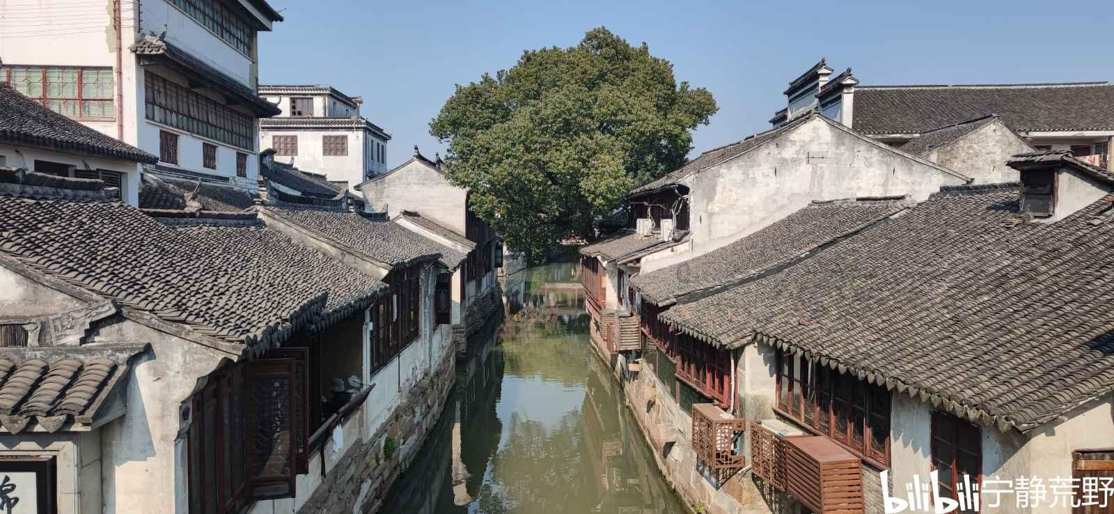 奥迪RS-EK改色膜云衫绿,吸收了绿色系的清新干净
