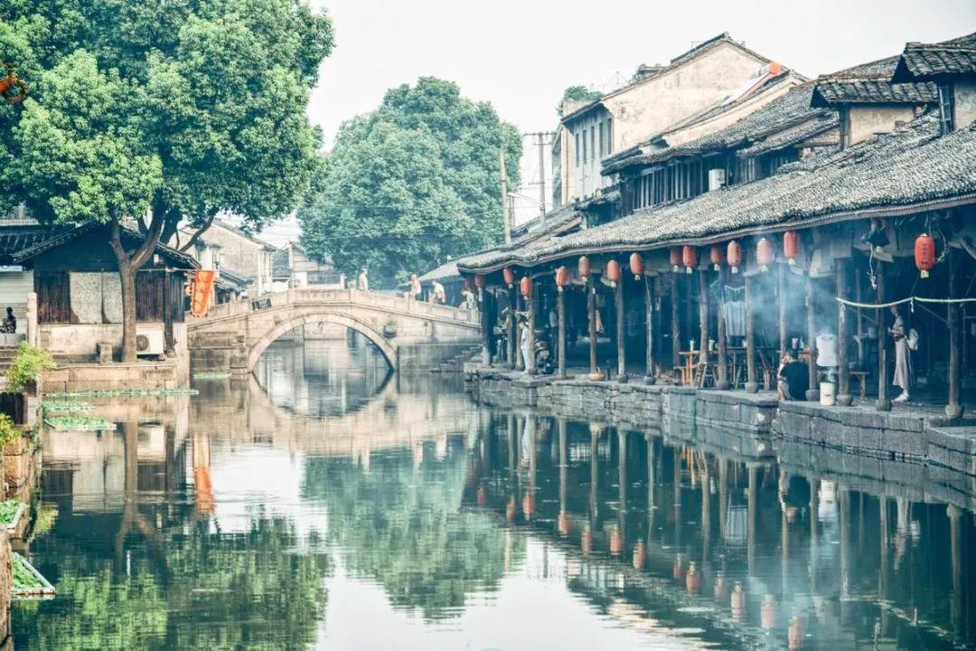 被困的狮王逃生3