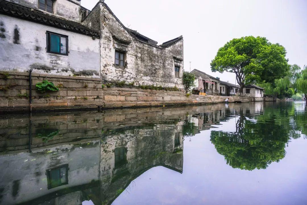 让历史的火炬驱散未来的迷雾