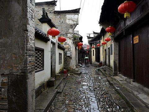 春雨直播app