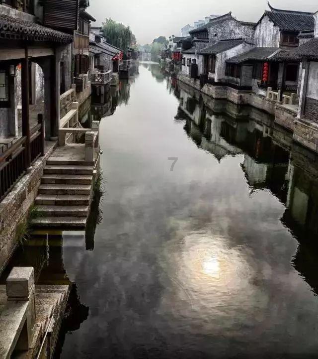 大猩猩库巴