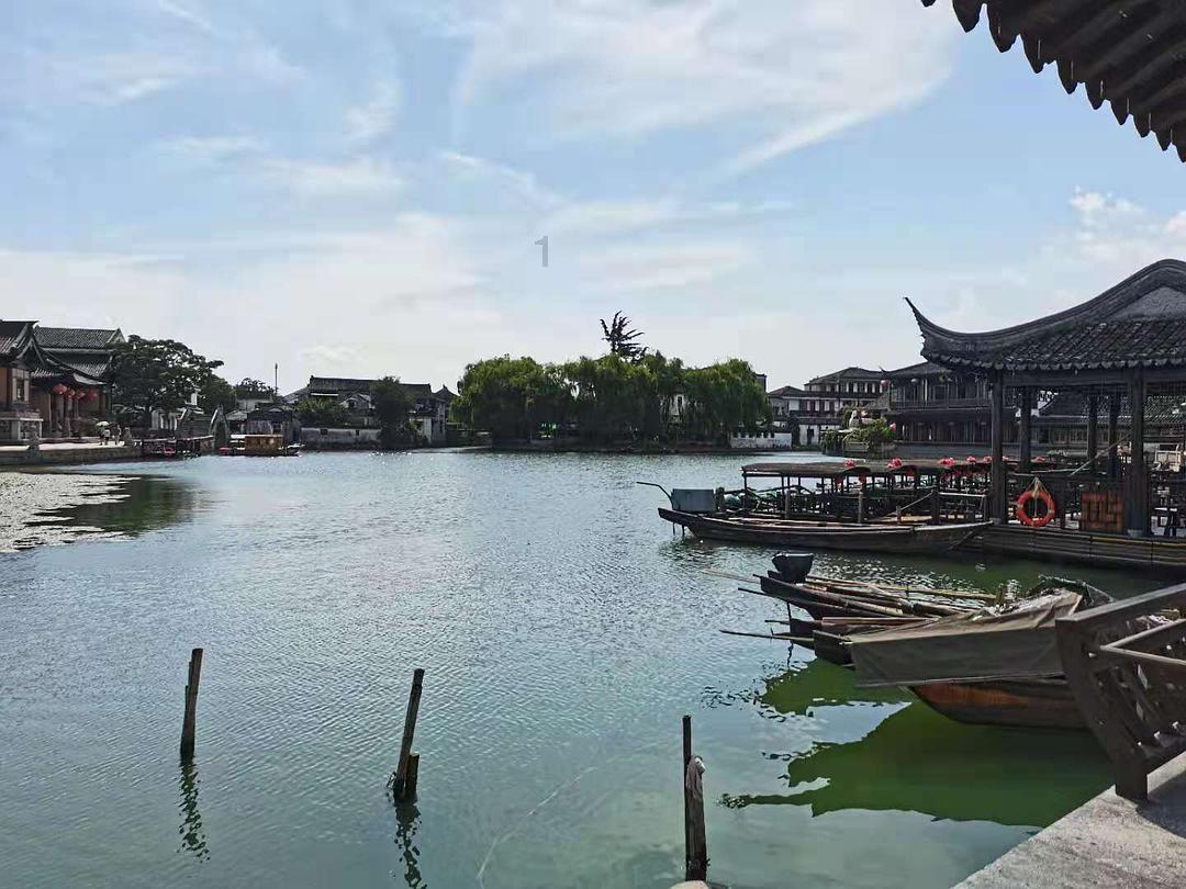 春雨直播app