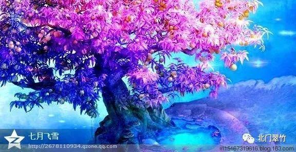 嘉日单词