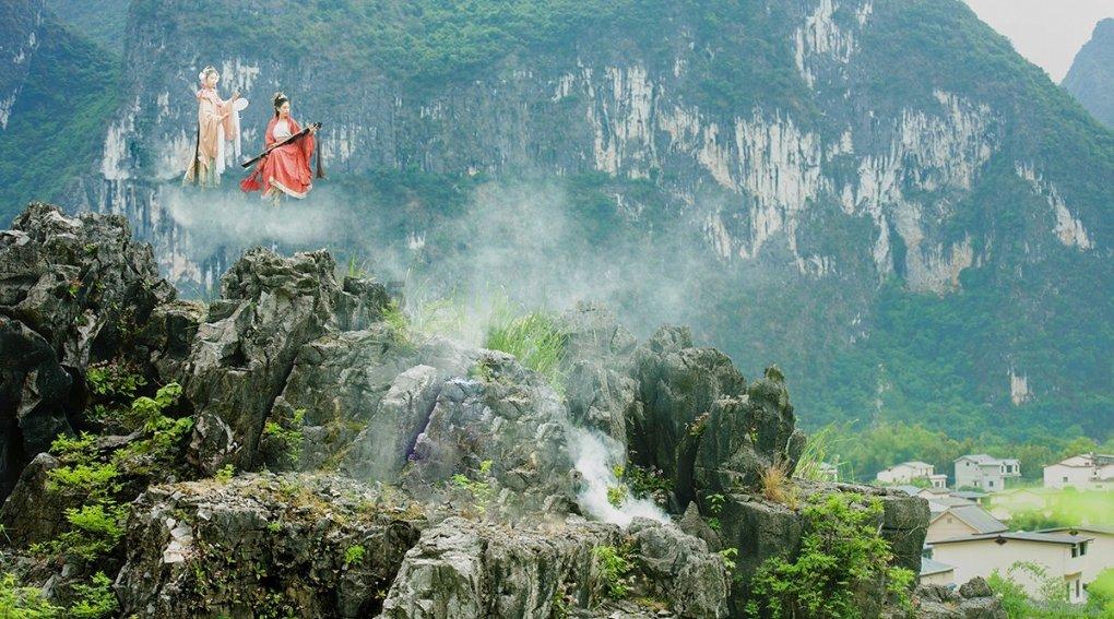 动物帮帮忙保卫家园