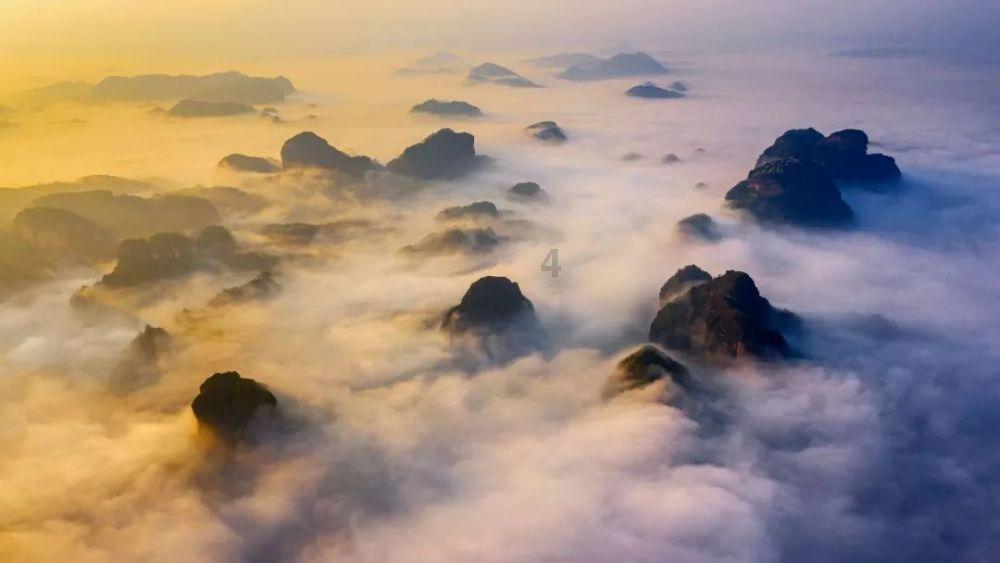 沪江开心词场