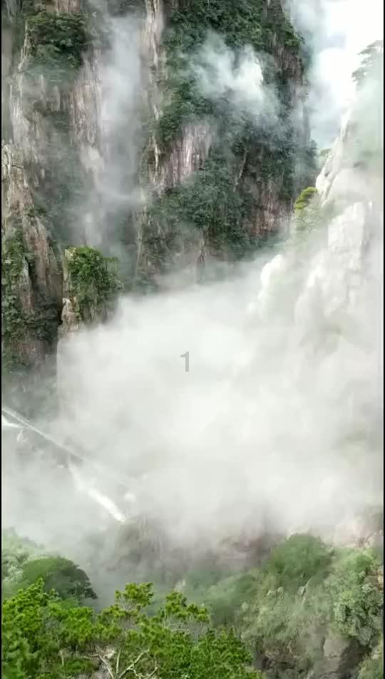动物帮帮忙保卫家园
