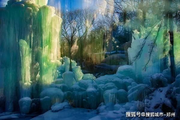 僵尸顶顶乐