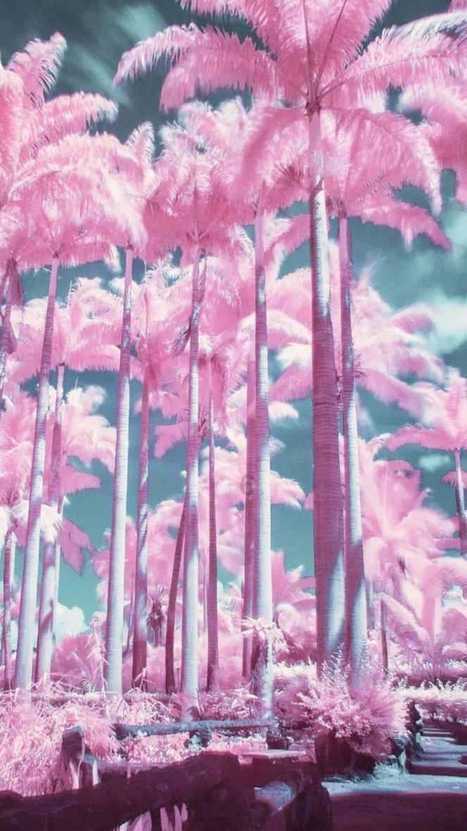 蒸汽时代的公主